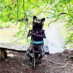 Sous Les Feuilles Сasa de vacaciones *
