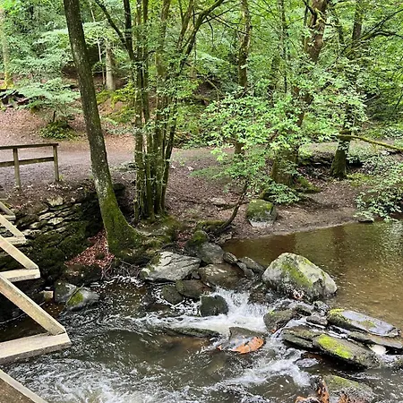 Sous Les Feuilles 雷杜